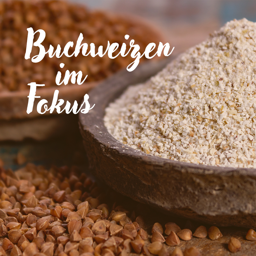 Das Bild zeigt Buchweizen in seiner normalen und der geschroteten Form sowie den Text: Buchweizen im Fokus.